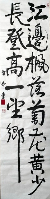 IMG20241019155530.jpg