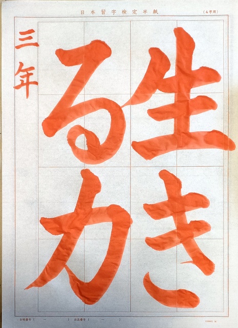 IMG20241219110318.jpg
