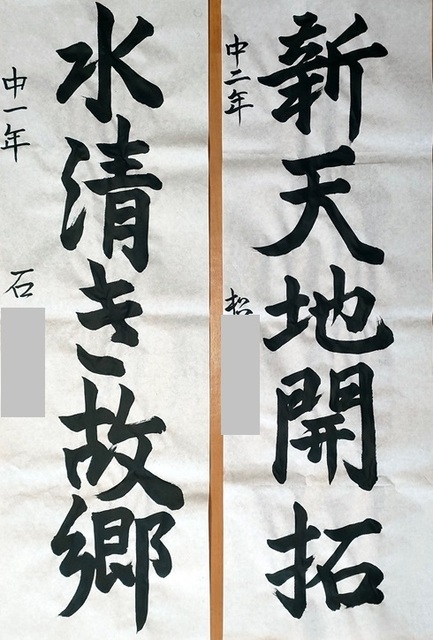 IMG20241221103412.jpg