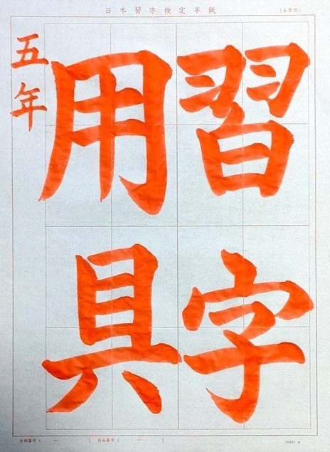 IMG20250106093908.jpg