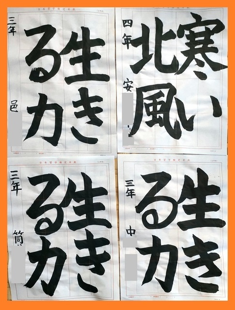 IMG20250125162523.jpg