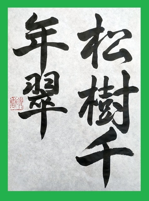 IMG20250213101528.jpg